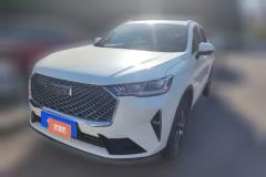 2023 Haval H6 2022 No.3generation 1.5T AT 2WDMax #1
