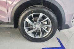 2026 Geely Auto Binyue 2025 BinyueL 1.5TD DCT Star Diamond #6