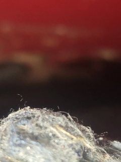 Left Front Floor Sound Seal