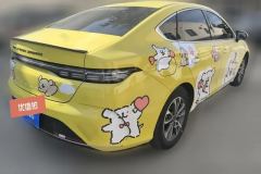 2024 BYD Destroyer 05 2024 Glory 1.5L AT DM-i 55KM Luxury #3