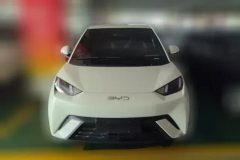 2025 BYD Seagull 2025 305km freeEdition #2