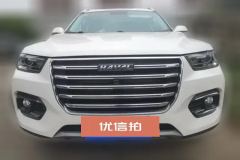 2020 Haval H6 2020 1.5T AT PlatinumChampion #2