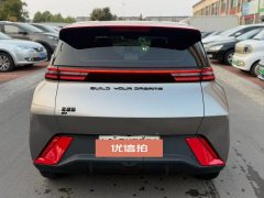 2024 BYD Seagull 2023 freeEdition #5