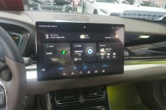 2022 BYD Han 2020 DM 4WDPerformanceLuxury #13