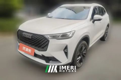 2023 Haval H6 2021 2.0T AT No.3generation2WDMax