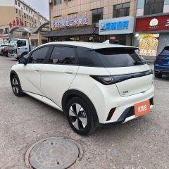 2024 BYD Dolphin 2023 420km freeEdition #9