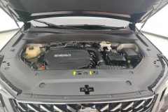 2025 GAC Trumpchi Trumpchi GS8 2025 PilotSeries 2.0TGDI AT 2WDLuxury 5Seat #10
