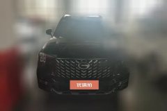 2024 GAC Trumpchi Trumpchi GS8 2025 PilotSeries 2.0TGDI AT 2WDLuxury 5Seat #2
