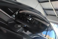 Left Exterior Mirror