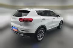 2020 Haval H6 2020 2.0T AT PlatinumLuxury #3