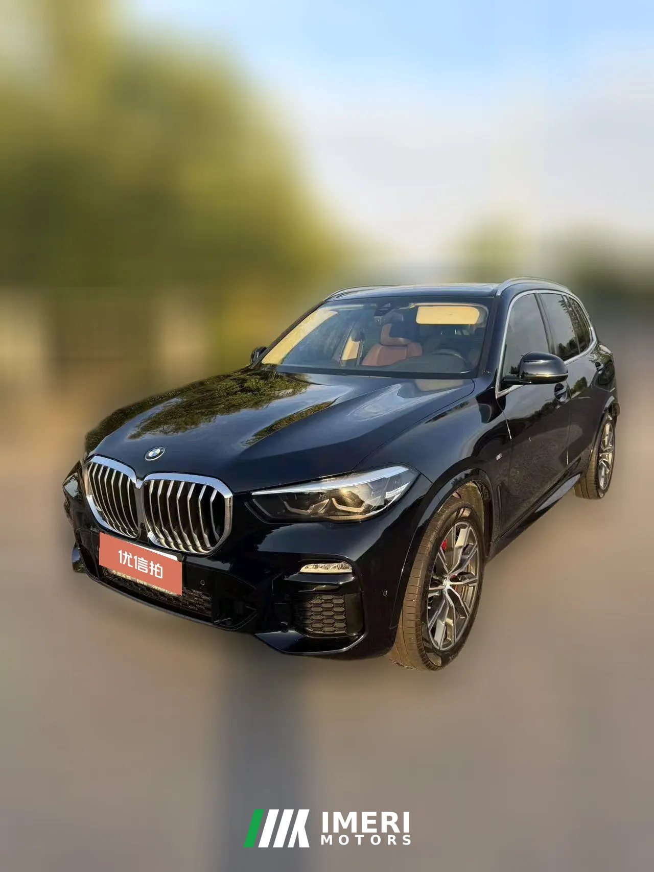 2020 BMW X5(Imported)(Imported) 2020 2.0T AT 30i MSport Pkg (Imported)