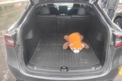 2024 Tesla Model Y 2024 rear wheel driveEdition #4