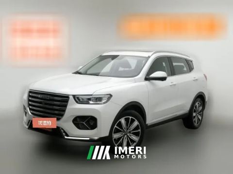 2020 Haval H6 2021 1.5T AT ChampionGDI