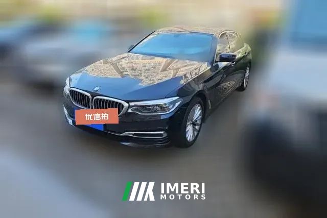 2020 BMW 5 Series 2020 2.0T AT 530LiExclusiveLuxury Pkg