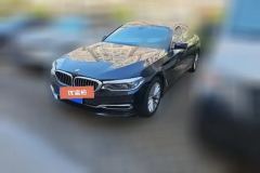 2020 BMW 5 Series 2020 2.0T AT 530LiExclusiveLuxury Pkg #1