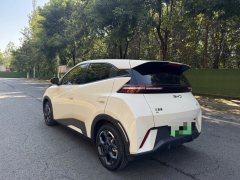 2024 BYD Seagull 2024 Glory 305KM freeEdition #10