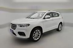 2018 Haval H2 2017 1.5T AT Blue LabelLuxury FWD #1