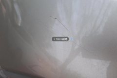 Left Front Fender