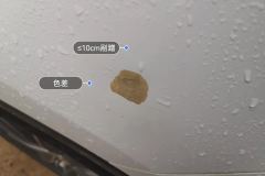 Left Rear Fender