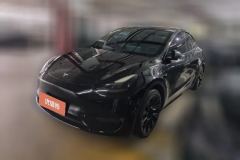 2021 Tesla Model Y 2021Long Rangeall wheel driveEdition 3D7 #1