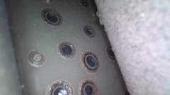 Right Rear Fender