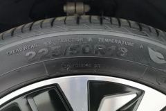 2023 BYD Seal 2023 Champion 700km Premium #9