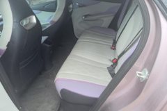 2024 BYD Dolphin 2025 520km knightEdition #11