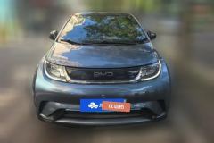 2024 BYD Dolphin 2025 420km Fashion #2