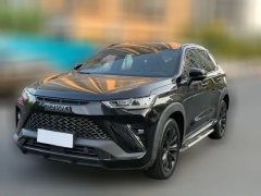 2021 Haval H6S 2022 2.0T AT 2WDYue PaoEdition #1