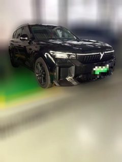 2023 Voyah Free 2024 SuperLong RangeSmart Drive #3
