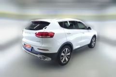 2021 Haval H6 2021 1.5T AT ChampionGDI #3