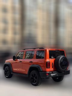 2022 Tank 300 2021 Off-road 2.0TAT conqueror #3