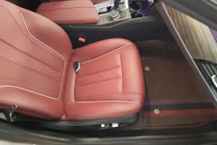 2021 BMW 5 Series 2021 2.0T AT 530LiLeadingLuxury Pkg #8