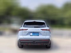 2024 Jetour Dasheng 2022 1.6T AT DCTkingPLUS #6