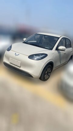 2024 Wuling Motors Wuling Bingo 2024 333km Joy #1