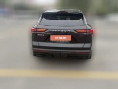 2023 Jetour Dasheng 2022 1.6T AT DCTking #4