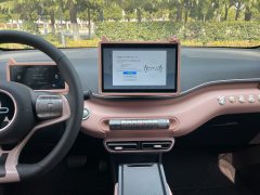 2025 BYD Seagull 2025 Smart Drive 305km freeEdition #15
