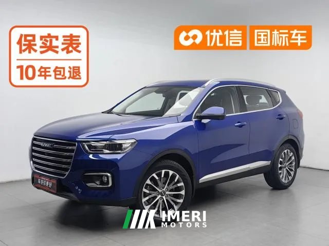 2020 Haval H6 2020 1.5T AT PlatinumChampion