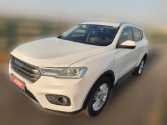 2018 Haval H6 2017 Blue Label 1.5T AT 2WDFashion #2