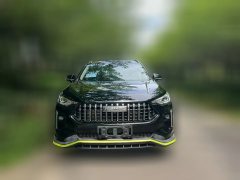 2021 Haval Chitu 2021 1.5T AT ProvokingEdition golden rabbit #3