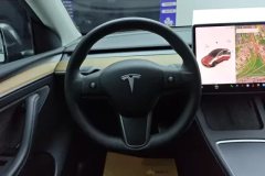 2021 Tesla Model Y 2021StandardBattery lifeRWDEdition #15