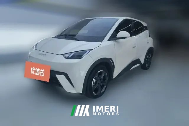 2024 BYD Seagull 2024 Glory 405KM flyEdition