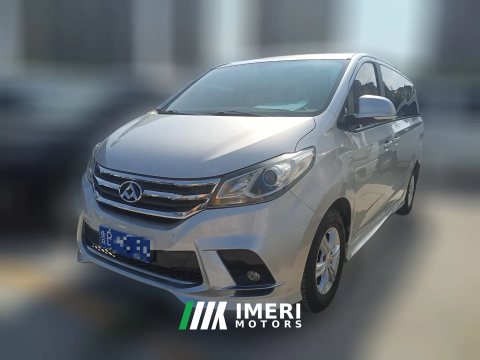 2019 Maxus G10 2019 2.0T AT PLUSElite China V