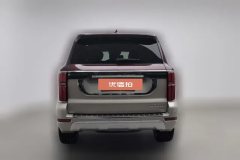 2022 Tank 500 2022 3.0T AT high-endCustom 5Seat #4