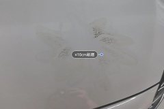 Engine Hood