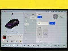 2024 Li Auto Li Auto L9 2024 Ultra #10