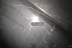 Right Rear Fender