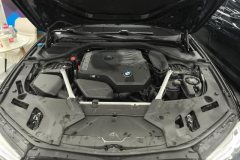2023 BMW 5 Series(Imported) 2022 Facelift II 2.0T AT 530i MSport Pkg (Imported) #10