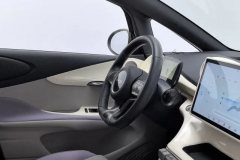2022 BYD Dolphin 2021 405km Fashion #23