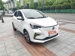 2022 Chang'an Benben E-Star 2022 pure heartEdition Colorful LFP #6